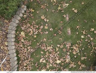 Photo Textures of Ground Mixed